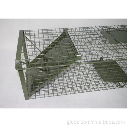 Live Animal Cage Traps PVC Live Badger Cage Trap Factory
